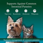 Liquid Dog Dewormer   Cat Dewormer 4 Oz Liquid Dewormer For Dogs   Cats