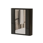Wall-mounted Bathroom Cabinet With Mirror  Metal Framed Mirrored Door Medicine C