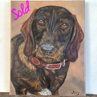 Original Oil Painting Pet Portrait 8  10   Wirehaired Dachshund custom Work 