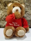 You re Very Special Teddy Bear Plush By Russ