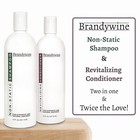 Non Static Shampoo   Conditioner For Synthetic   Natural Hair Wigs  16 Oz