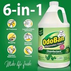 Odoban Disinfectant Odor Eliminator Eucalyptus 1 Gal   32oz Spray