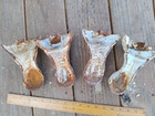4 Antique Claw Foot Cast Iron Barth Tub Ball Claw Feet  Original Chippie Paint