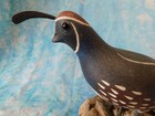 Vintage 7  X 11  Wood Gambel s Quail On 2 1 2  X 8  Driftwood Folk Art Bird