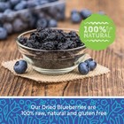 Whole Dried Blueberries  No Sugar Added  Bulk  Dehydrated  Unsweetened   All