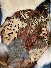 Vintage Native American Dream Catcher Pheasant Feather Leather Fur Conches Beads