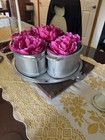 Guardian Service Aluminum Bowl  3  Plus The Tray  