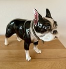 Large 16  Hand Painted Vintage Boston Terrier Dog Porcelain Figurine Japan Rare