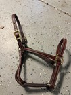 Walsh Leather Showman Halter Full Size