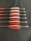 Black Eagle Executioner 20   003 Crossbow Bolts 3  Fletched 1 2 Dozen Brand New