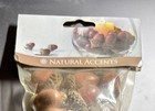 Natural Acorns W  Caps For Crafts Or Decorations  approx 55  
