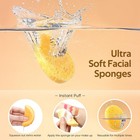 Gainwell 50-count Compressed Facial Sponges With Storage Container