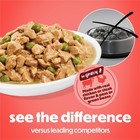 Beneful Purina Wet Dog Food Variety Pack  Chicken Or Steak  12  5 5 Oz Cans