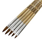 Winstonia Nail Acrylic Brushes 5 Pcs Set For Manicure Liquid Powder Enhancement
