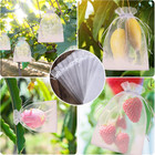 50 Pack 6x9 Inch White Fruit Protection Bags  Mesh Drawstring Covers For Garden
