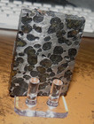 73 Gm Sericho Pallasite Meteorite Slice F  Kenya Stand Olivine Stand  16 Lb Jal