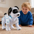 Smart Music Robot Dog Walking Dancing Toy For Kids Boys Girls Ages 6-12