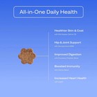 Daily Multivitamin For Dogs  chicken Flavor  Human-grade  Vet-formulated 1-3pcak