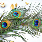 10 Pcs Peacock Feathers In Bulk 16-18inch Bulk For Diy Craft Vase