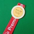 Champion Premier League 2024 25 Gold Medal Winner Liverpool