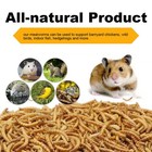0 6-44lbs Non-gmo Dried Mealworms For Birds Chickens Reptiles Fish Turtles Bulk