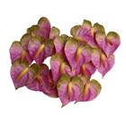 20 Pcs Anthurium Clay Flower   1 8 Inches   For Jewelry Making  Craft Supplies