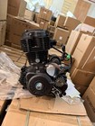 250cc 167fmm-m Lifan Engine W  5 Speeds And Kickstart
