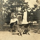 Antique Sepia Snapshot Photograph Adorable Girl Fence Sweet Dog Outside