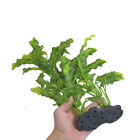 Aquarium Fish Tank Decoration Ornament Artificial Plastic 16-inch Tall Java Fern