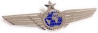 World Airlines Silver Pilot Wings Captains Badges Pins