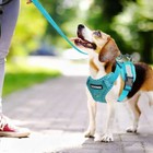 Dog Harness Adjustable Puppy Cat Harness Vest Pet Outdoor Walking Collar Leash