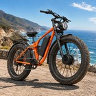 5000w Peak Dual Motor Electric Bike For Adults Electric Mountain Bike 48v 30ah