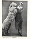 1930s Vintage Great Pyrenees Dog Print King Of Sheep-dogs   Mistress  6477n