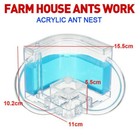 Ant Farm Castle Educational Toys Ant Habitat Ecological Nest Science Learning