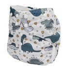 Cloth Diaper Nappy Pocket Reusable Washable Dinosaurs Pumpkins 2-7 Years