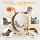 Cat Wheel  43  L Large Cats Exercise Running Wheel  Cat Treadmill For Indoor    