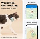 Gps Tracker   Health Monitoring For Cats  6 5 Lbs   - Market Leading Pet Gps