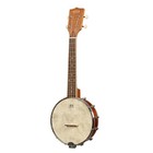 Kala Banjo Concert Ukulele With Bag  Natural Mahogany Bundle With Kala Klipz    