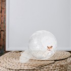  Chinchilla Clear Ball Hamster Ball Small Pet Running Exercise Ball Guinea Pig  