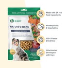 Dr  Marty Nature   s Blend Essential Wellness Freeze-dried Raw Dog Food 48 Oz Bag