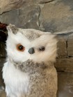Owl 12    Lifelike Realistic Animal Wildlife Decor Rustic Farmhouse Cottage