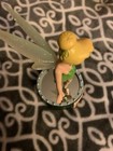 Life According To Tinker Bell Figurine - New In Box
