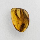 Feather In Burmese   Burmite Amber Fossil   100  Genuine Amber