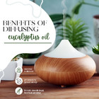 Eucalyptus Essential Oil  80 85  - 100  Pure Essential Oil - Greenhealth