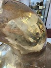 Used Yamaha Brass Sousaphone Bell For Parts Only  Selling As-is