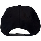 The Beastie Boys Snapback Hat Check Your Head Logo  black 