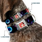 Buckle-down Seatbelt Buckle Dog Collar - The Little Large  Multi Color