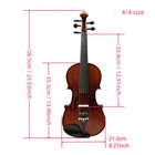 5 String Violin 4 4 Acoustic Violin Maple Spruce Hand Made Ebony Parts With Case