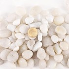 New White Pebbles Stones Natural Decorative Polished River Rocks Aquarium Gravel