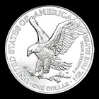 2021  American Silver Eagle  1  Oz  Fine Silver Bullion Coin 999  Type 2  Bu-unc
